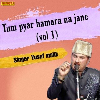 Tum Pyar Hamara Na Jane Vol 01