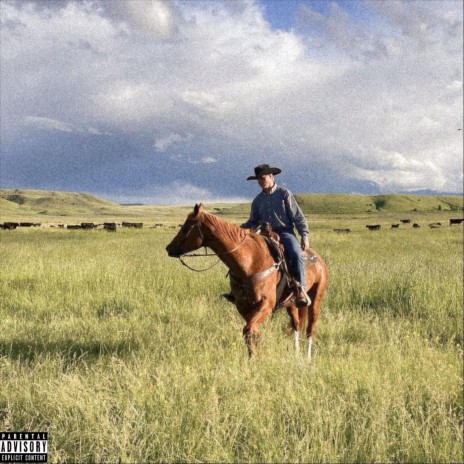 COWBOY | Boomplay Music