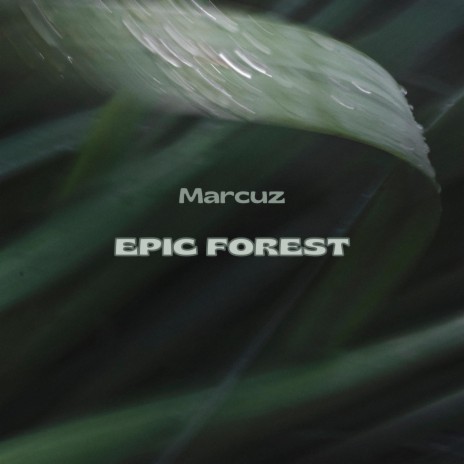 Epic Forest