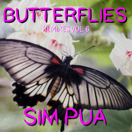 Butterflies (Right Gold Remix)