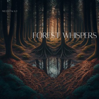 Forest Whispers - Kalimba Relaxation, Harmony, Stillness