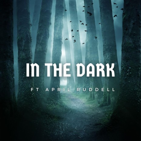 IN THE DARK | Boomplay Music