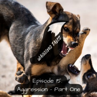 E15 - Understanding Dog Reactivity & Aggression (Part 1 of 3)