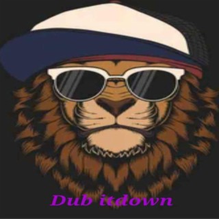 Dub itdown 14th album got my verbals