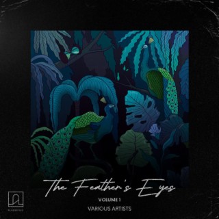 The Feathers' Eyes, Vol. 1