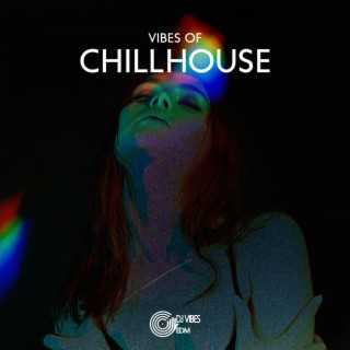 Vibes of Chillhouse: Best Beats to Party and Chill