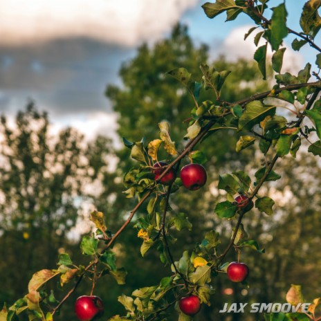 apple picking season | Boomplay Music