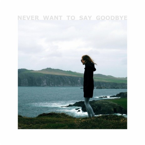 Never Want To Say Goodbye | Boomplay Music
