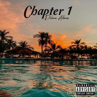 Chapter 1