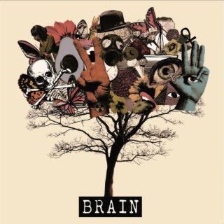 BRAIN