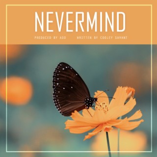 Nevermind lyrics | Boomplay Music