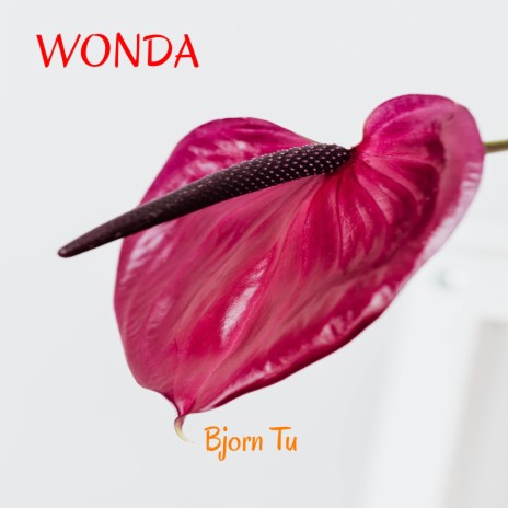 Wonda | Boomplay Music