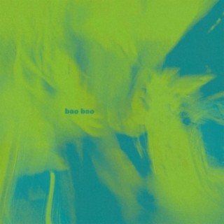 Bao Bao lyrics | Boomplay Music