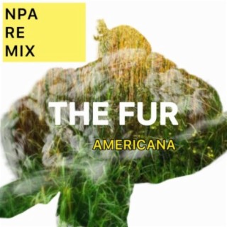 Americana (NPA remix)