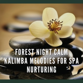 Forest Night Calm: Kalimba Melodies for Spa Nurturing