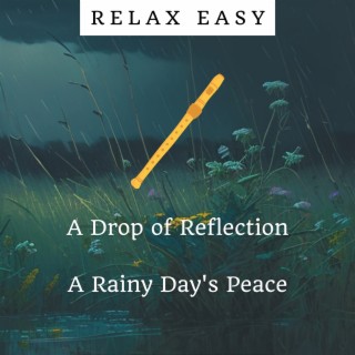 A Drop of Reflection: a Rainy Day's Peace