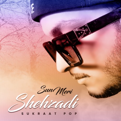 Sun Meri Shehzadi | Boomplay Music