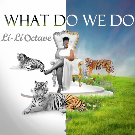 What Do We Do | Boomplay Music