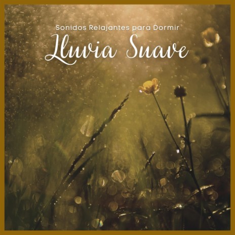 Sonidos Relajantes para Dormir: Lluvia Suave, Pt. 40 | Boomplay Music