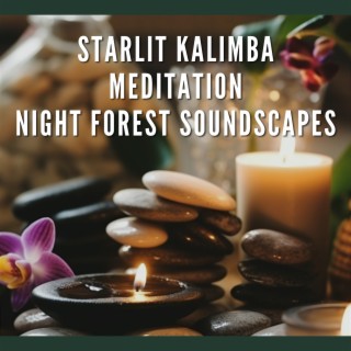 Starlit Kalimba Meditation: Night Forest Soundscapes