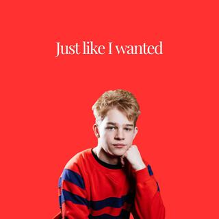 Just like I wanted (feat. Cade Snarr)