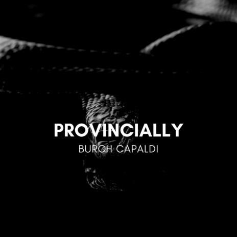 Provincially | Boomplay Music