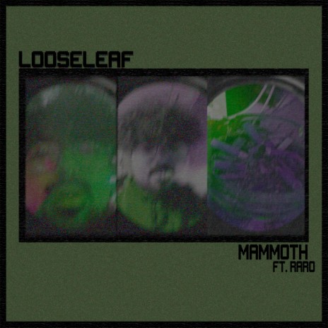 Looseleaf ft. Raro | Boomplay Music