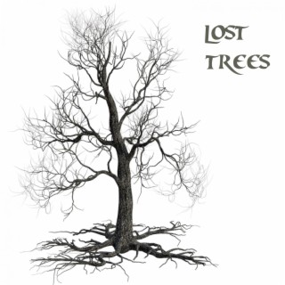 Lost Trees