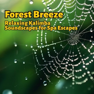 Forest Breeze: Relaxing Kalimba Soundscapes for Spa Escapes