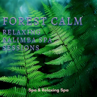 Forest Calm: Relaxing Kalimba Spa Sessions
