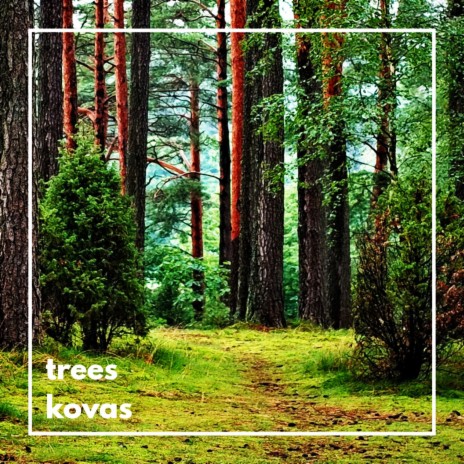 Trees Clean | Boomplay Music