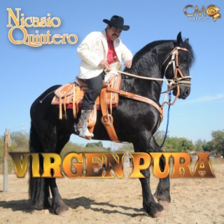 Virgen Pura