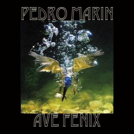 Ave Fenix (Marin Instrumental Mix)