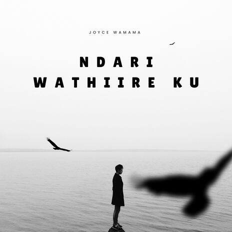 Ndari wathiire ku ft. Combat marto | Boomplay Music