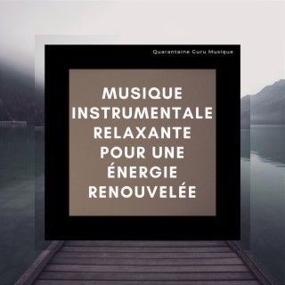 Musique instrumentale relaxante pour une énergie renouvelée