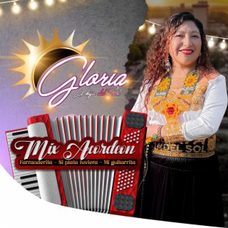 Mix Acordeones (Farranderita & Si plata tuviera & Mi guitarrita)