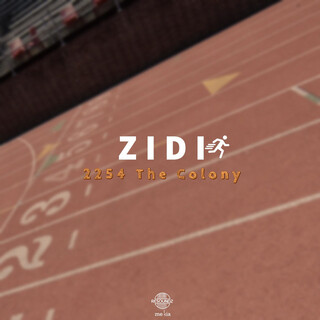 Zidi