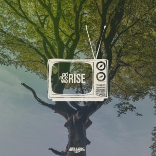 Rise