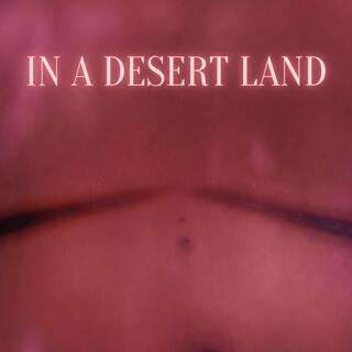 In A Desert Land