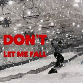 Don't Let Me Fall