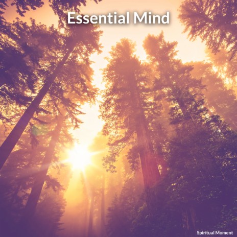 Essential Mind | Boomplay Music