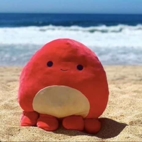 surfer squishmallow | Boomplay Music