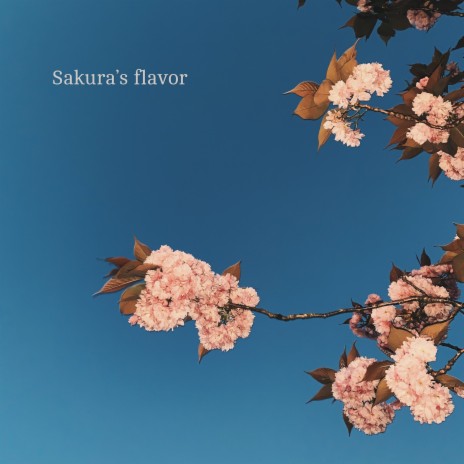 Sakura’s Flavor | Boomplay Music