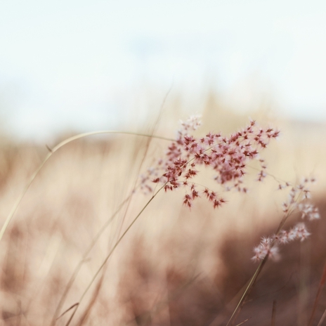 Stress Removal ft. Especialistas de Musica para Dormir & Rain and Nature | Boomplay Music