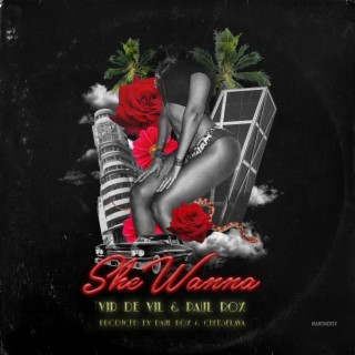 She Wanna (feat. Vir de Vil)