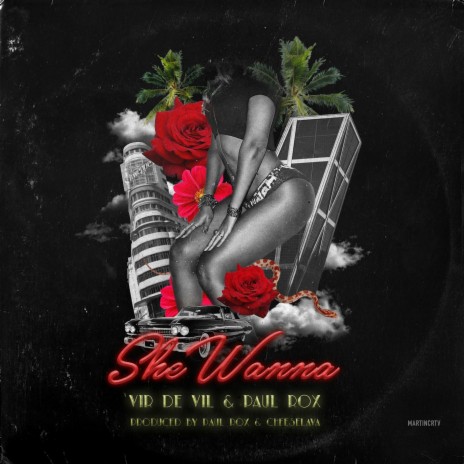 She Wanna (feat. Vir de Vil) | Boomplay Music