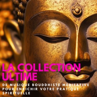 La collection ultime de musique bouddhiste méditative pour enrichir votre pratique spirituelle