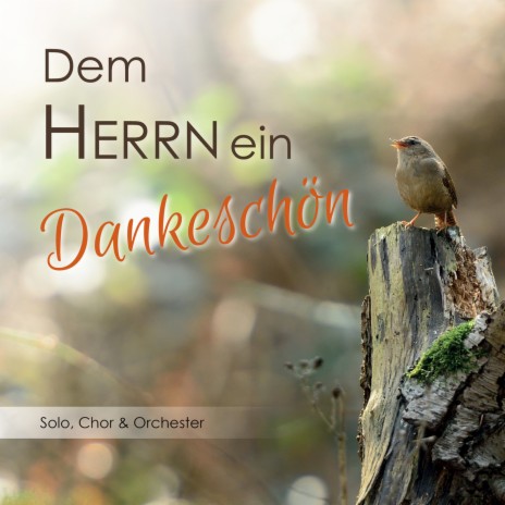 Der Herr ist mein Hirte | Boomplay Music