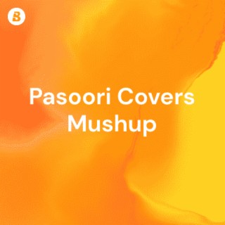 Pasoori covers Mushup