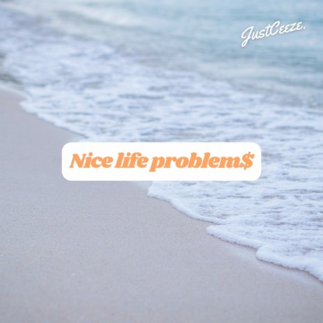 Nice Life Problem$ | Boomplay Music